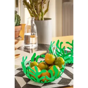 Coupe Fruits MEDITERRANEO en Acier Vert  | 3 Suisses