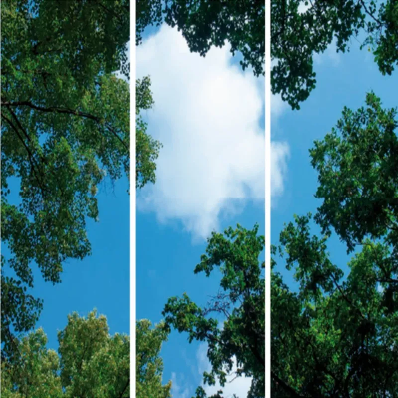 Fotoprint wolk met bos - set van 3 acrylplaten met print, voor 120x60 cm LED panelen